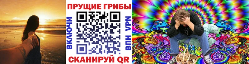 наркошоп  Тырныауз  Псилоцибиновые грибы Magic Shrooms 